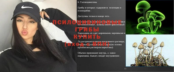 Альфа ПВП Медвежьегорск