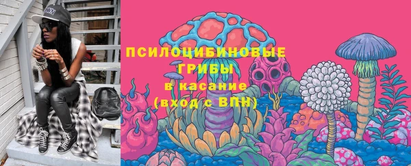 дмт Медногорск