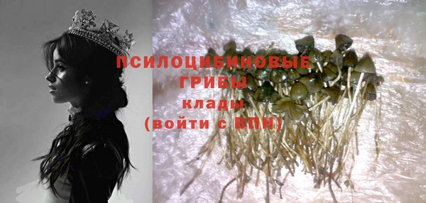 спиды Богородицк