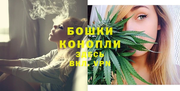 мескалин Мегион