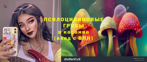 Альфа ПВП Медвежьегорск