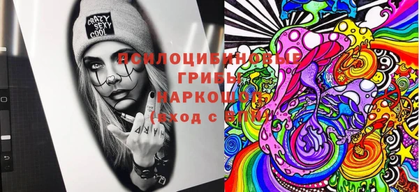 дмт Медногорск