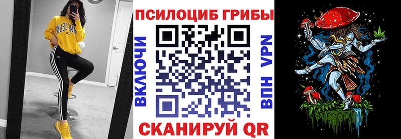 купить  сайты  Костерёво  Псилоцибиновые грибы Psilocybine cubensis 