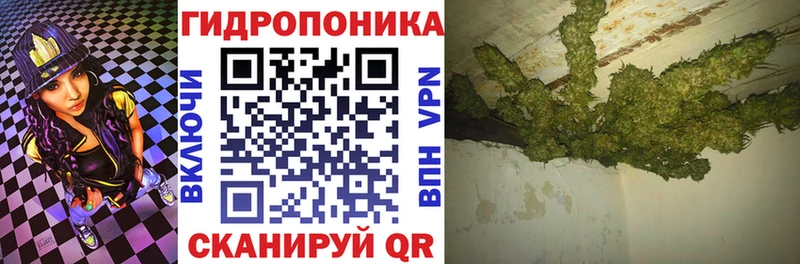 Шишки марихуана индика Костерёво